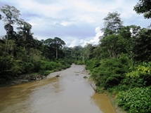 The Segama river, winding its way through a forest teamed with wildlife, the Danum Valley Conservation Area (photo: Lan Qie, Sabah, 2013-14)